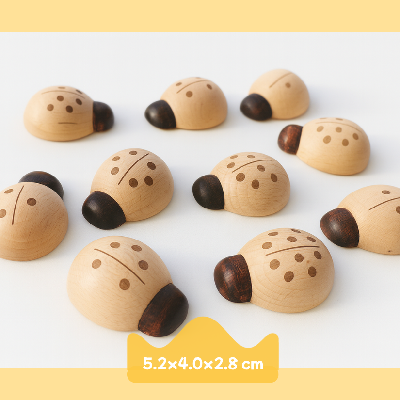 Montessori Sensory Sorting Trays