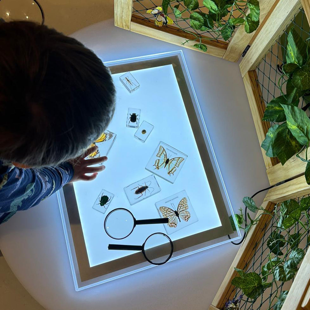 Illuminated Exploration Board