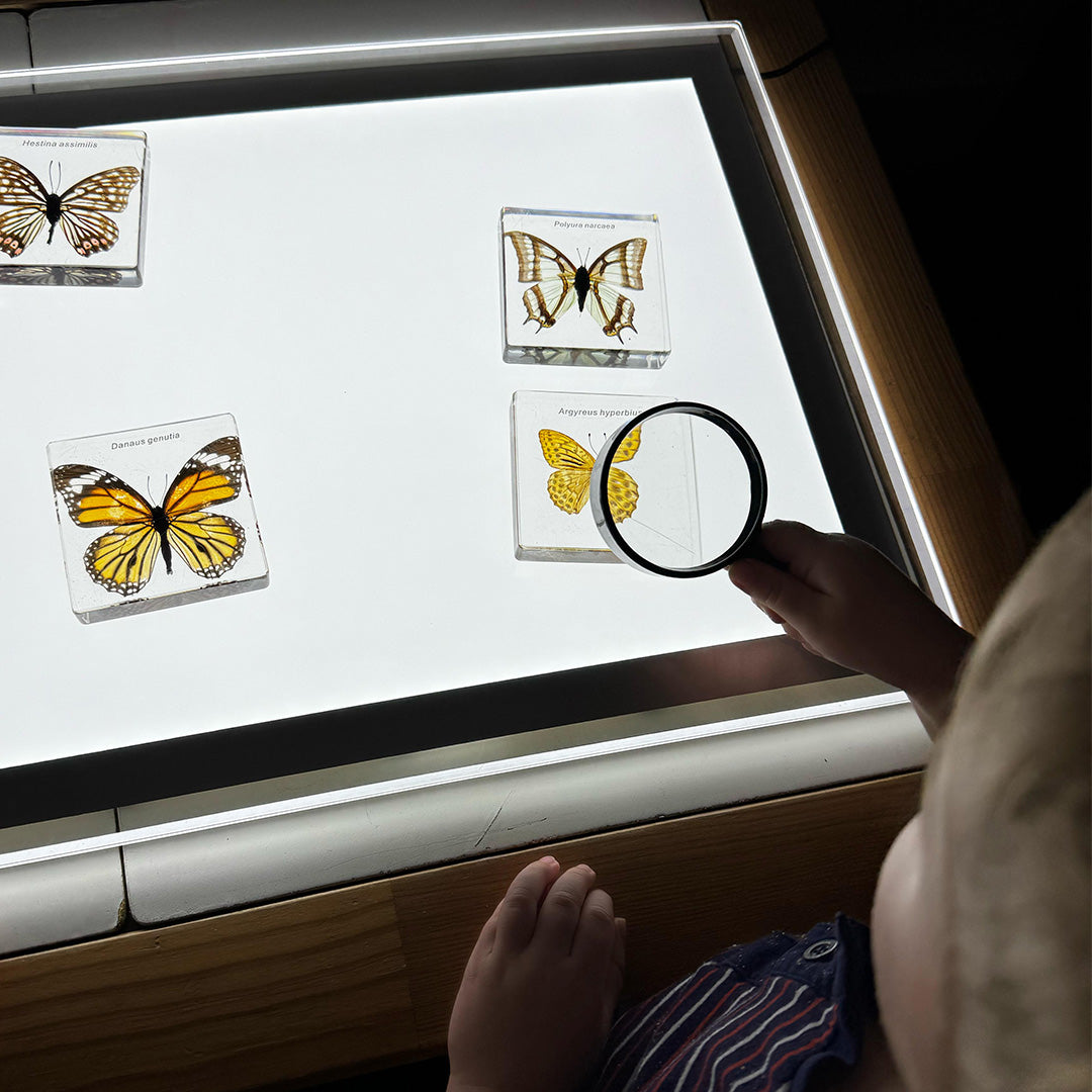Illuminated Exploration Board