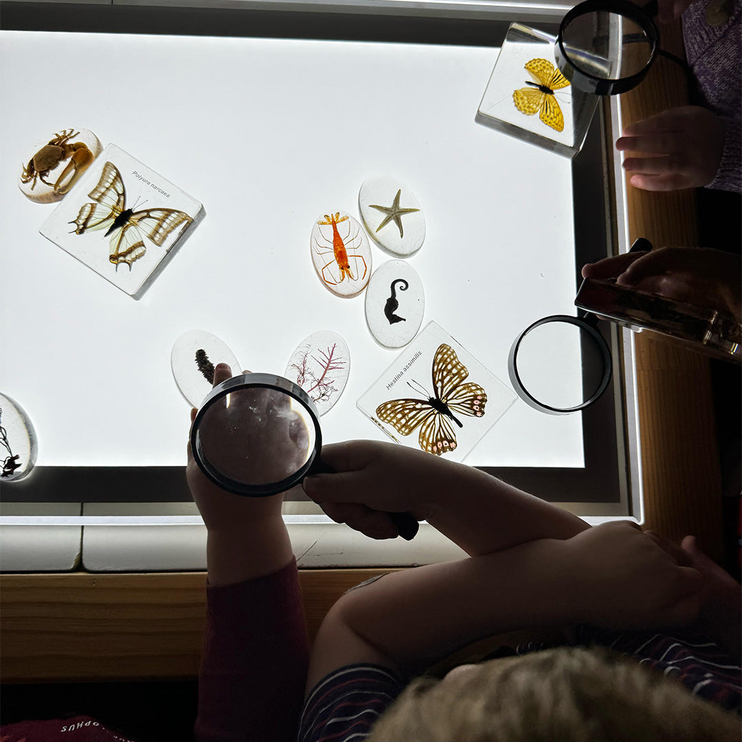 Illuminated Exploration Board