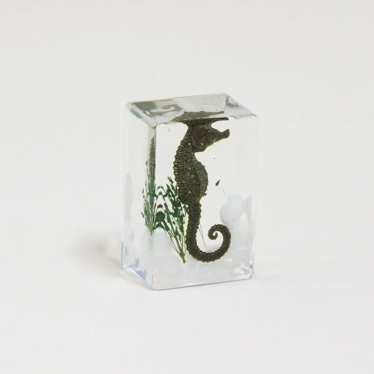 Preserved Nature Collection - Insects & Creatures in Resin