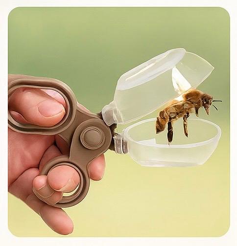 Bug Catching Science Kit - Adventure Play Set