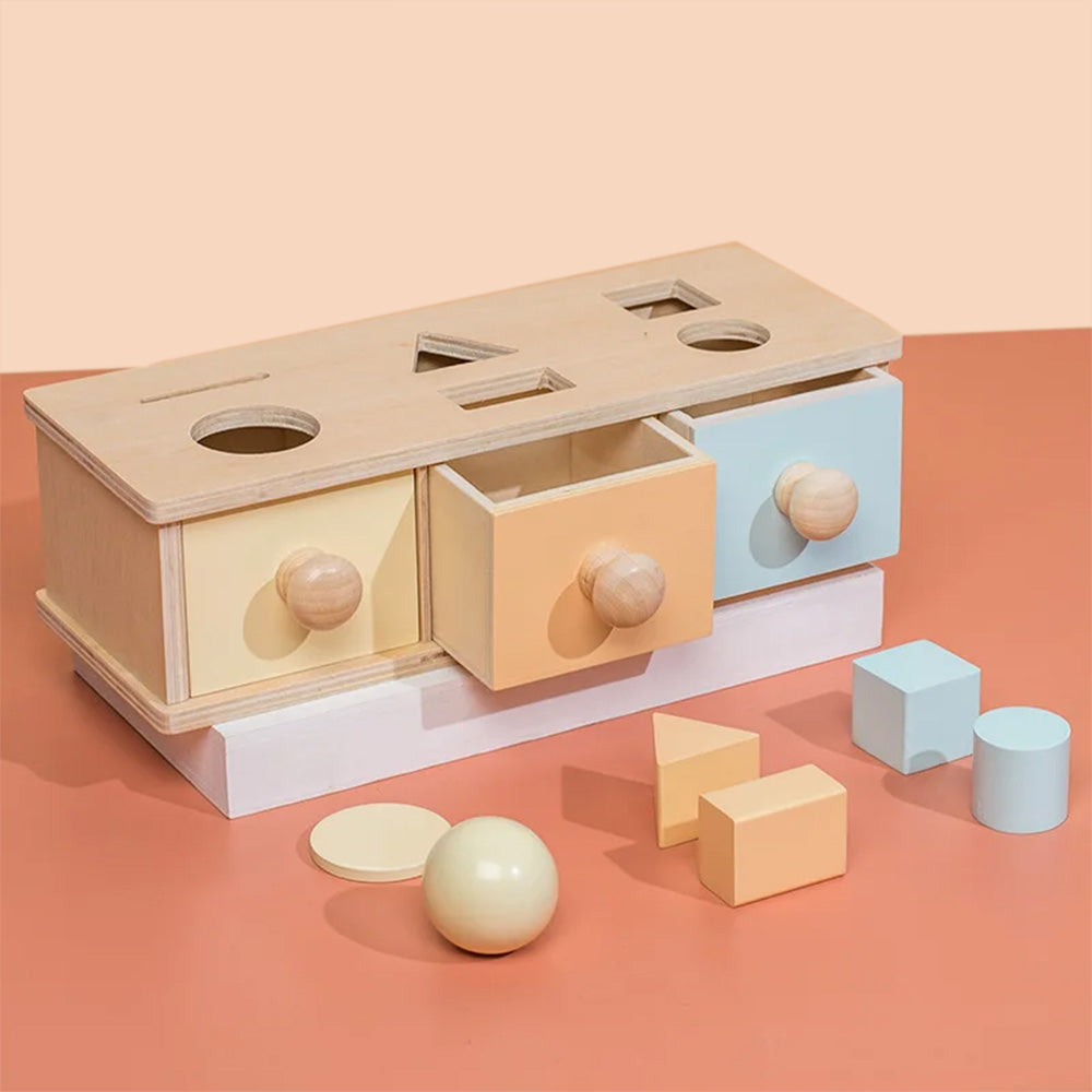 Montessori Wooden Shape Sorting Drawer