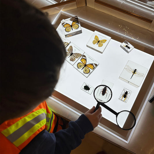 Illuminated Exploration Board