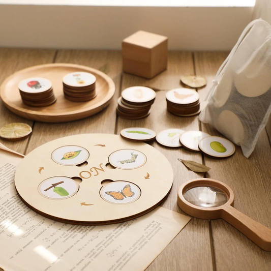 Montessori Life Cycle Puzzle Set
